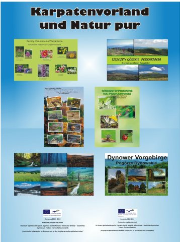 Comenius - finalne plakaty uczniów